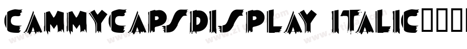 CammyCapsDisplay Italic字体转换